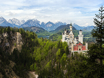 Schloss Neuschwanstein Neuschwanstein: Ein Schloss im Wald vor Hochgebirgspanorama