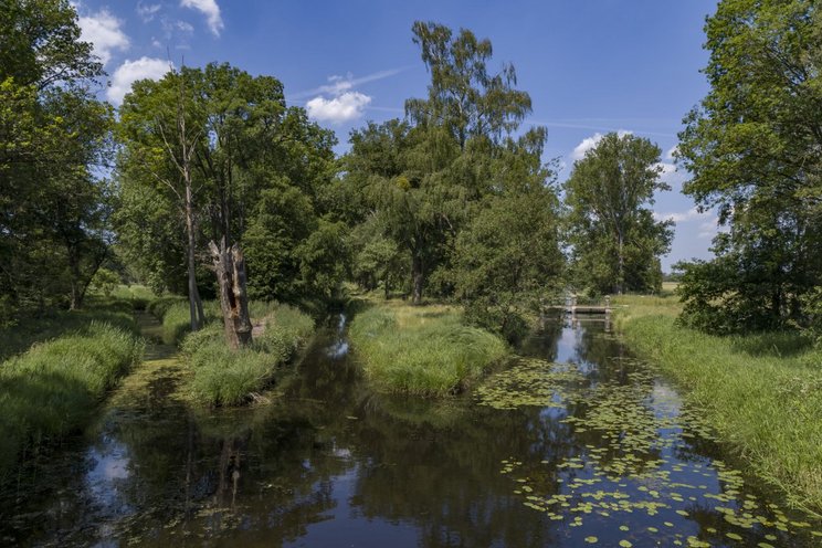 2021-06-BRDrö-Krähenfuss__6_ Das Bild zeigt eine von Flüssen durchzogene Landschaft von Wäldern und Wiesen.