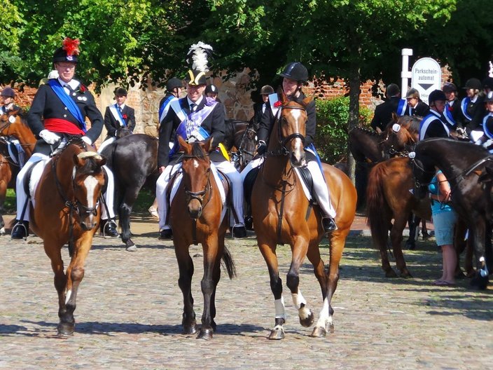 Drei Reiter bei einer Parade