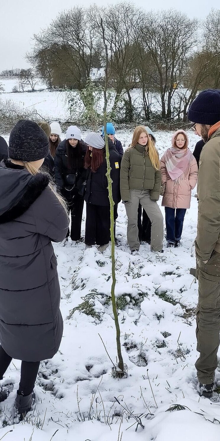 Eine Gruppe von Schülern steht im Schnee im Garten und pflanzt einen Friedensbaum.