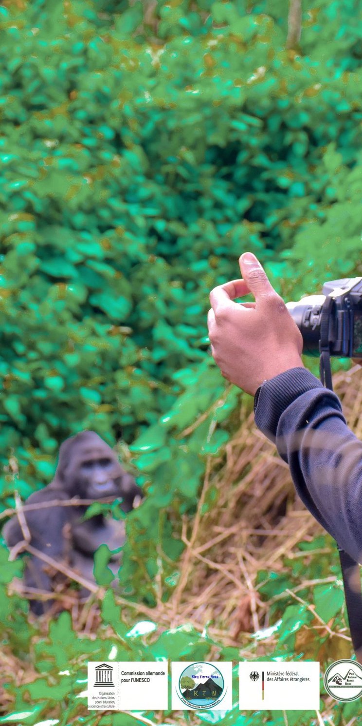 Ein Mann mit Mundschutz, der eine Kamera hält, blickt in die Kamera des Fotografen. Er möchte einen Gorilla fotografieren, der im Hintergrund des Bildes zwischen Sträuchern zu sehen ist. 