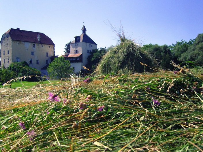 eine Reihe von historischen Gebäuden umgeben von Wäldern und Wiesen