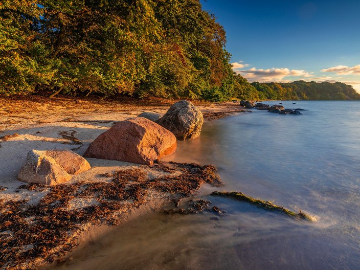 Blick entlang der Küste der Insel Vilm im UNESCO-Biosphärenreservat Südost-Rügen