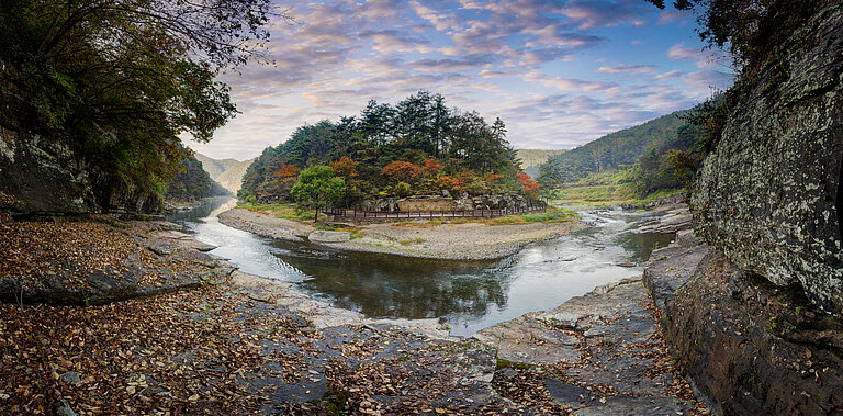 Blick auf einen Fluss in einem dicht bewaldeten Gebiet