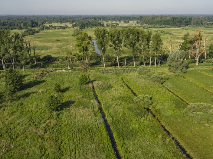 Landschaftsaufnahme im Biosphärerneservat Drömling