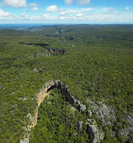 Blick afu den Dschungel im Nationalpark Cavernas do Peruaçu 