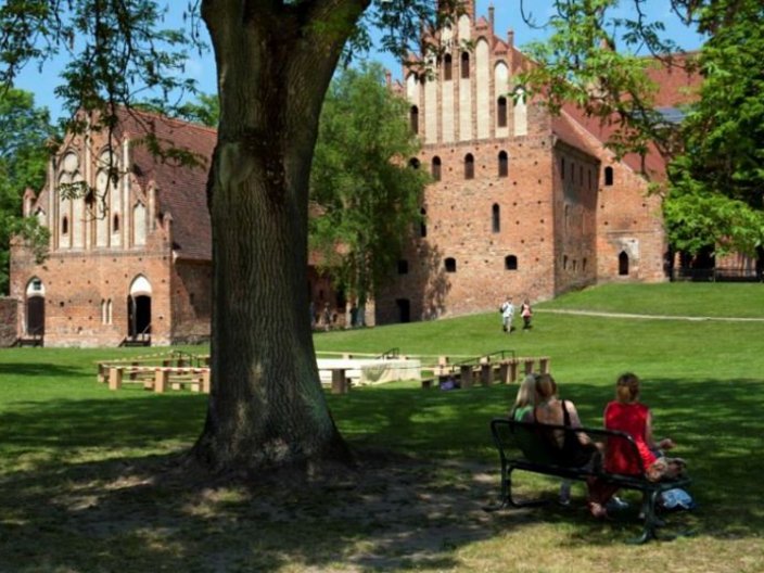 Backsteinhäuser auf grüner Wiese