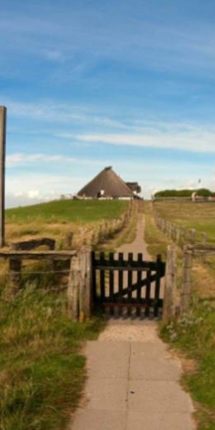 shwatt_hallig_-_C_Stock_LKN-SH Blick auf eine Hallig