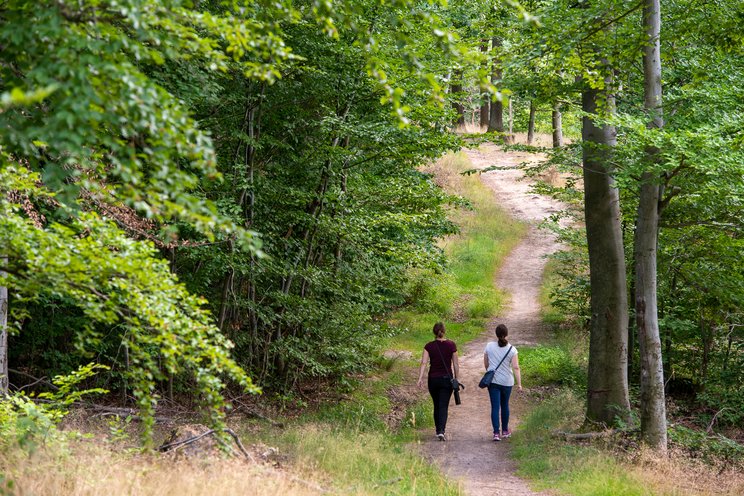 Wandern im UNESCO Geopark Bergstraße Odenwald Zu Fuß lässt sich der Geopark gut erkunden