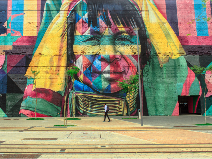 Mehrere Meter Hohe und Breite Wandmalerei im Graffiti-Stil. Das Motiv zeigt das Portrait einer indigenen Person in bunten Farben. 