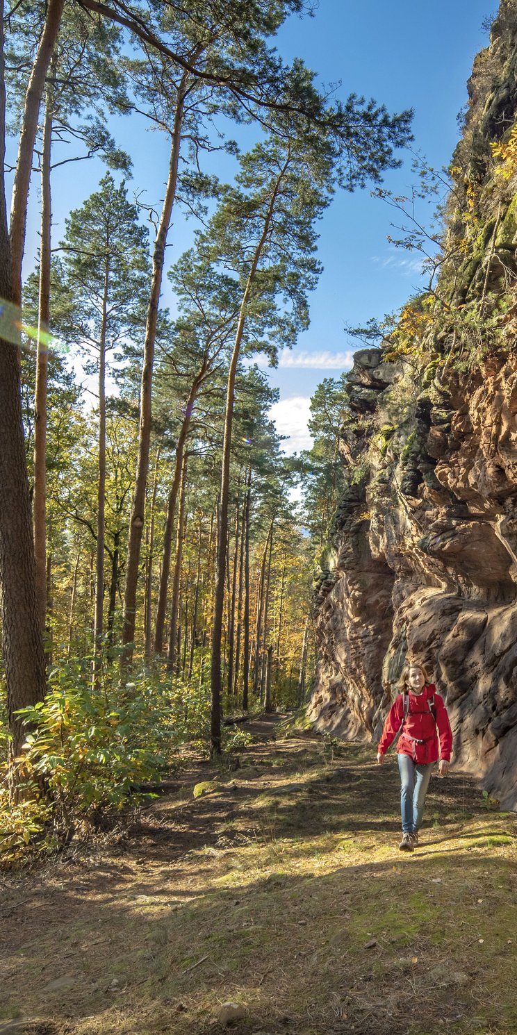 Eine Wanderin vor eine Felswand im Wald im Biosphärenreservat Pfälzerwald-Nordvogesen