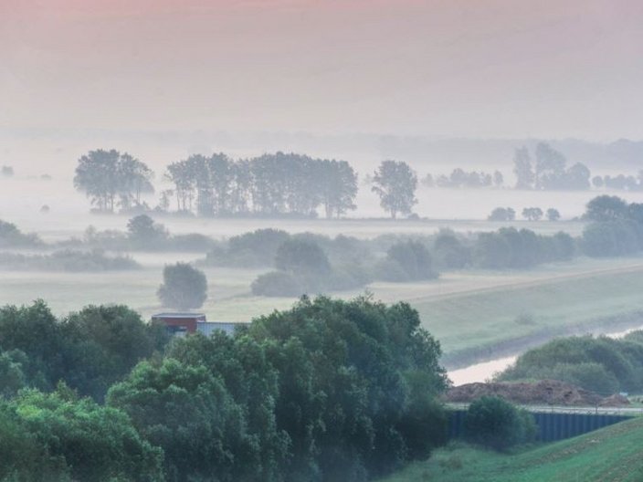 Morgenstimmung über der Elbe