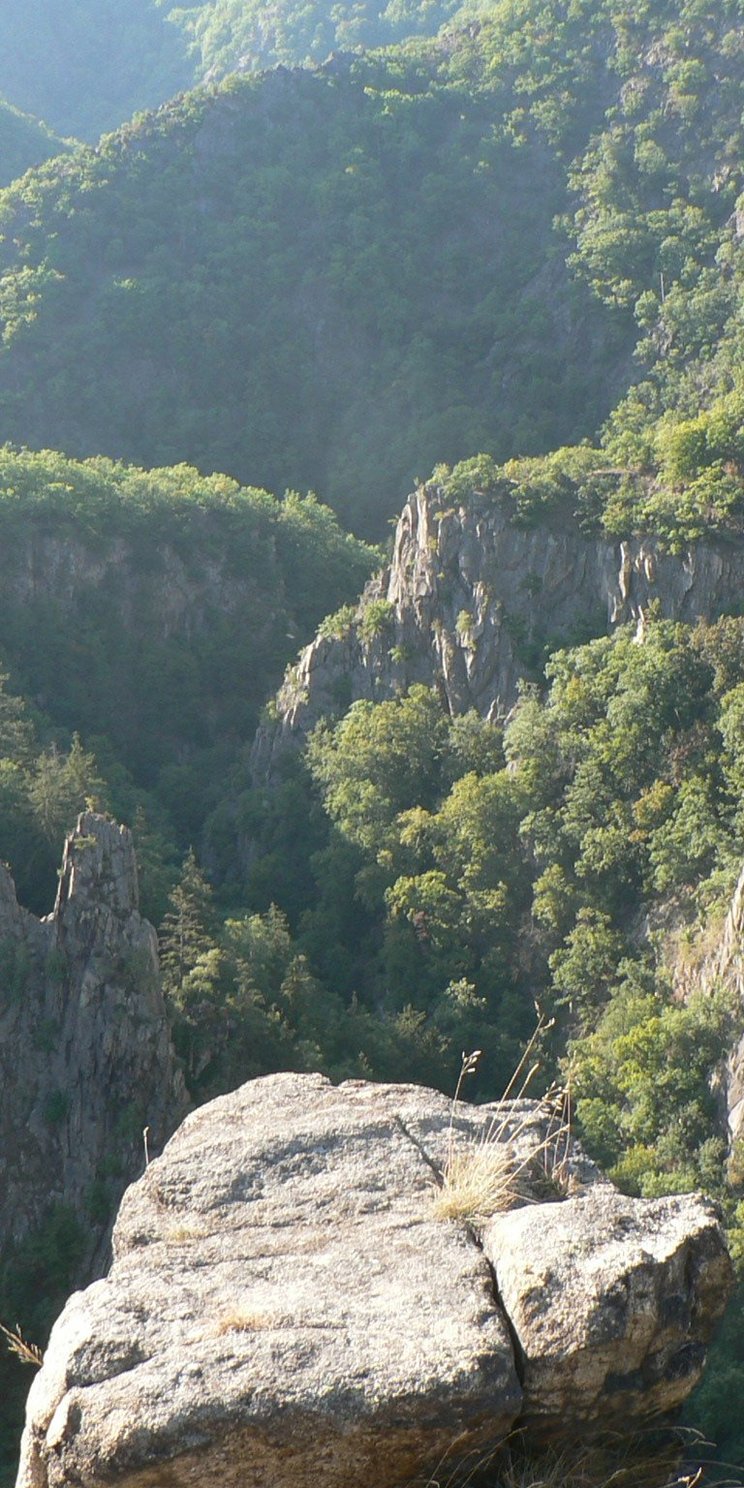 Blick in das naturbelassene Tal der Bode im Harz