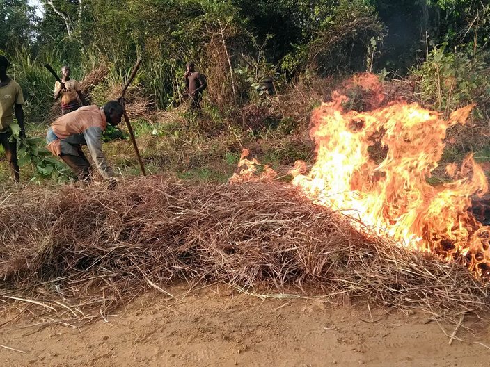 Am Waldrand hat ein Haufen trockenes Gras Feuer gefangen. Fünf Männer eilen herbei, um es zu löschen. 