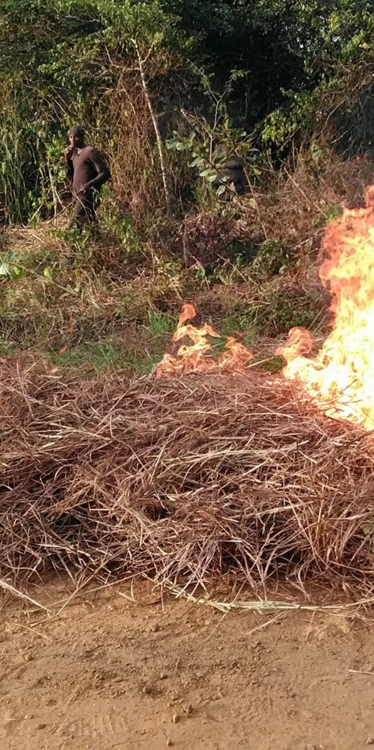 Am Waldrand hat ein Haufen trockenes Gras Feuer gefangen. Fünf Männer eilen herbei, um es zu löschen. 