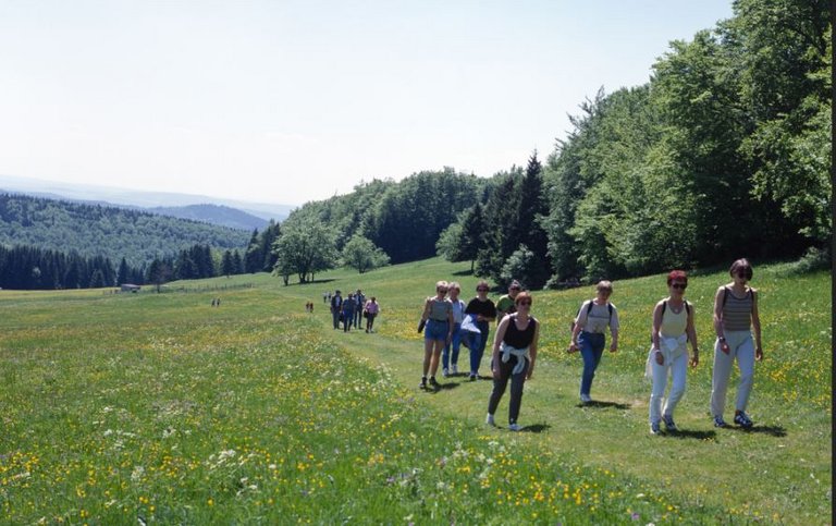 Wanderergruppe in einer Wald- und Wiesenlandschaft