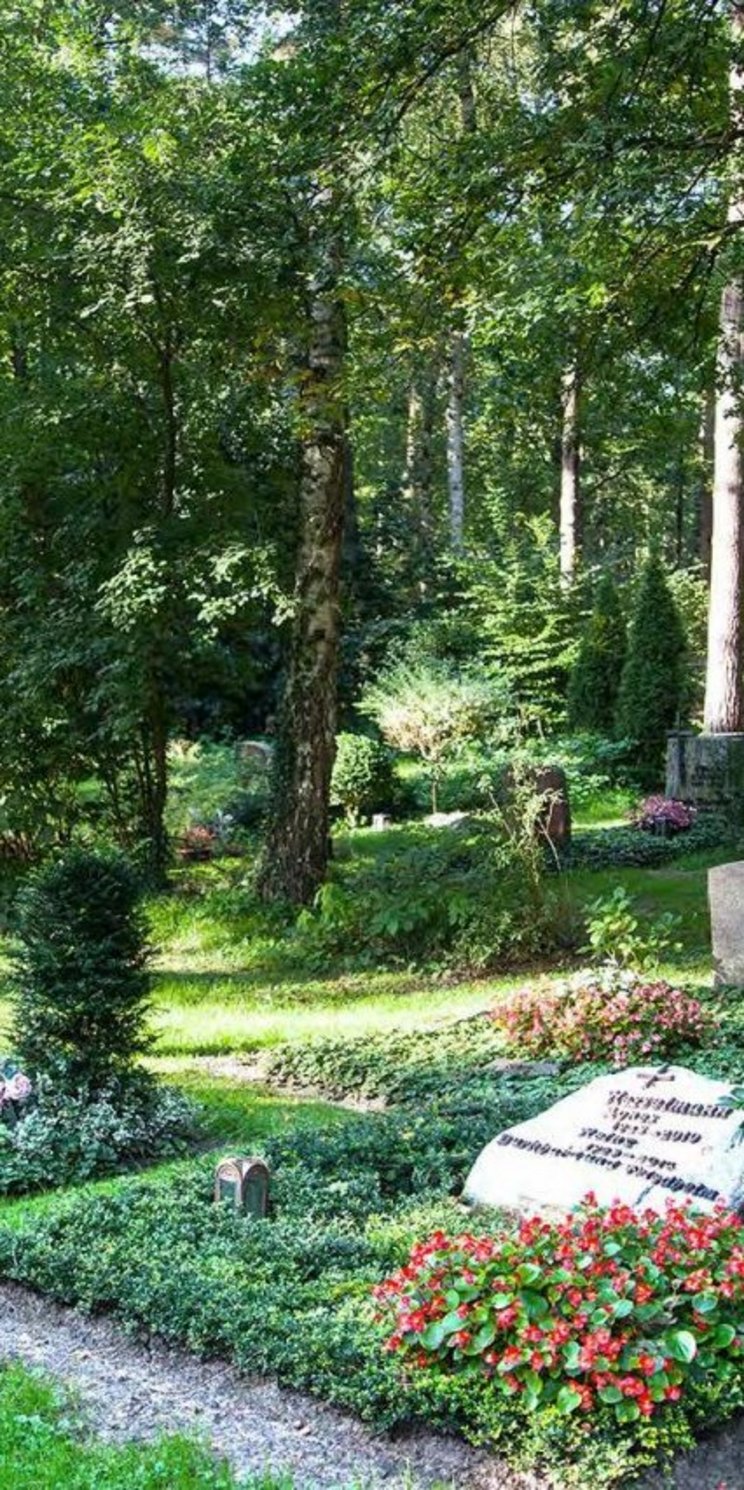 Bewaldeter Friedhof