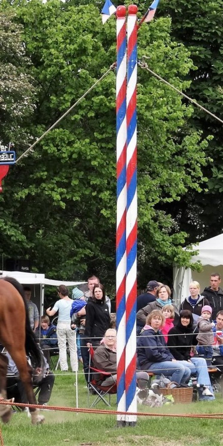 Reiterin bei einem Wettbewerb