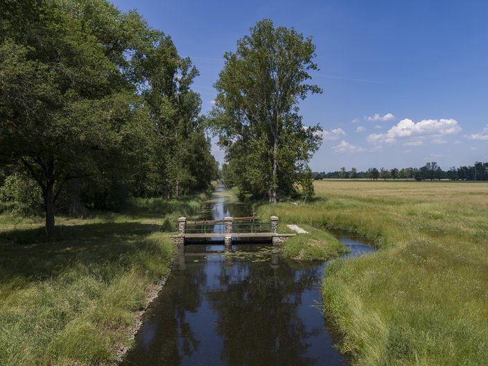 Ein Wassergraben im Biosphärenreservat Drömling