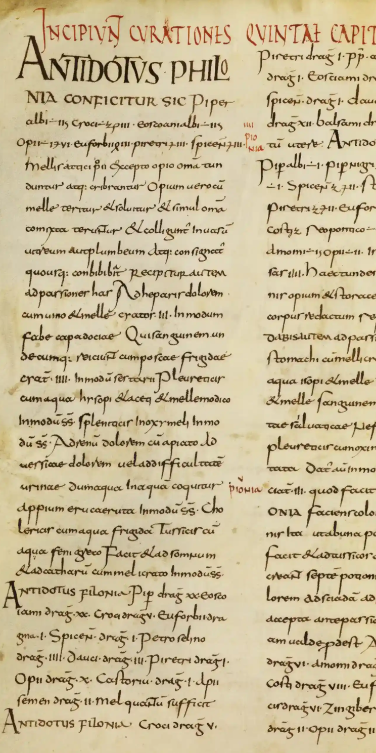 Lorscher Arzneibuch Msc.Med.1,fol.57v, Beginn von Kapitel 5 mit Heilmitteln gegen Leibschmerzen Lorscher Arzneibuch Msc.Med.1,fol.57v, Beginn von Kapitel 5 mit Heilmitteln gegen Leibschmerzen