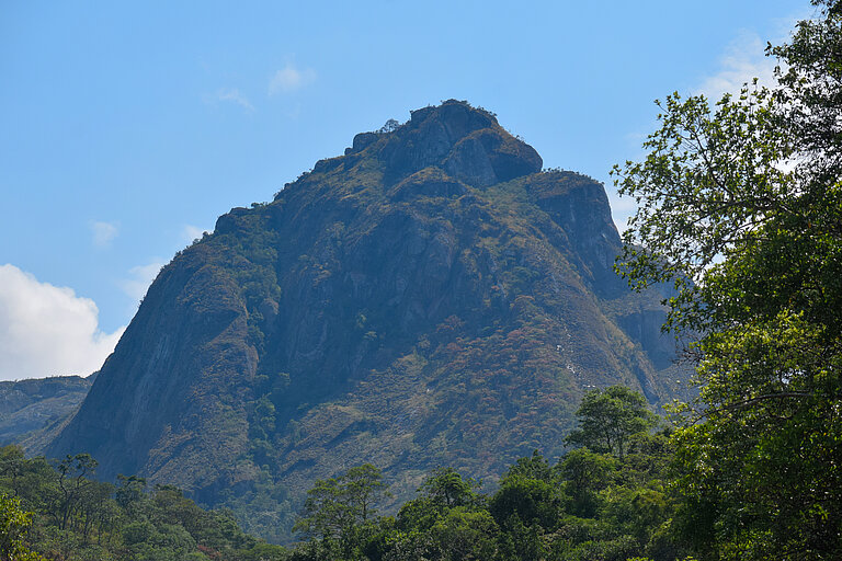 Kulturlandschaft des Mulanje-Massivs (Malawi) Blick auf einen bewaldeten Berg