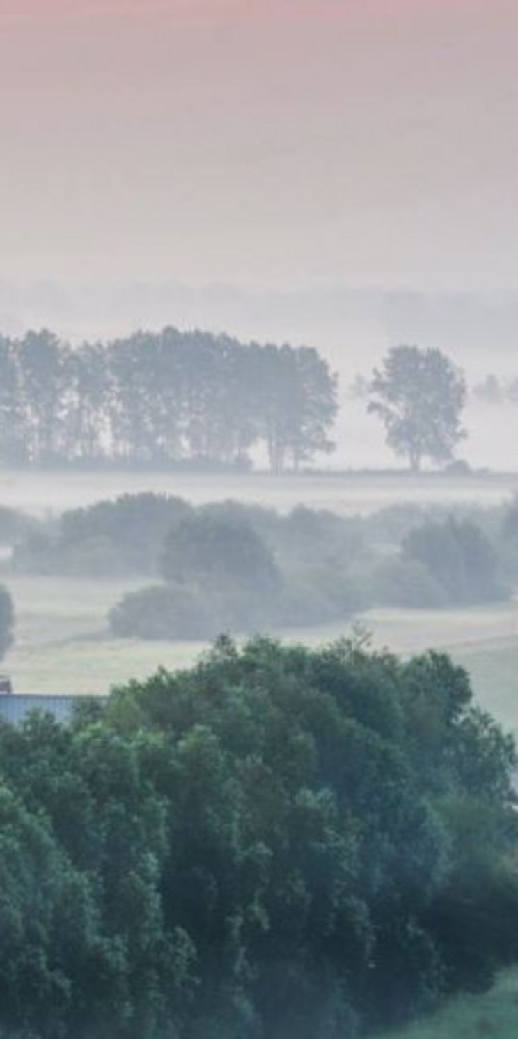Die UNESCO erkennt 1979 die ersten Biosphärenreservate in Deutschland an: darunter das Biosphärenreservat Steckby – Lödderitzer Forst, heute Teil der Flusslandschaft Elbe.