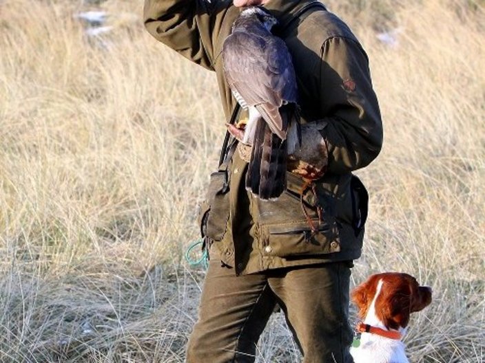 Jäger mit Hund und Falke