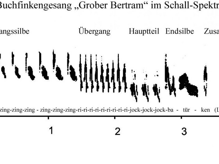 Achsendiagramm