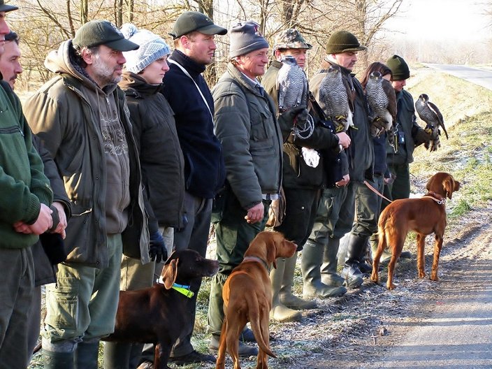 Eine Reihe von Jägern mit Hunden