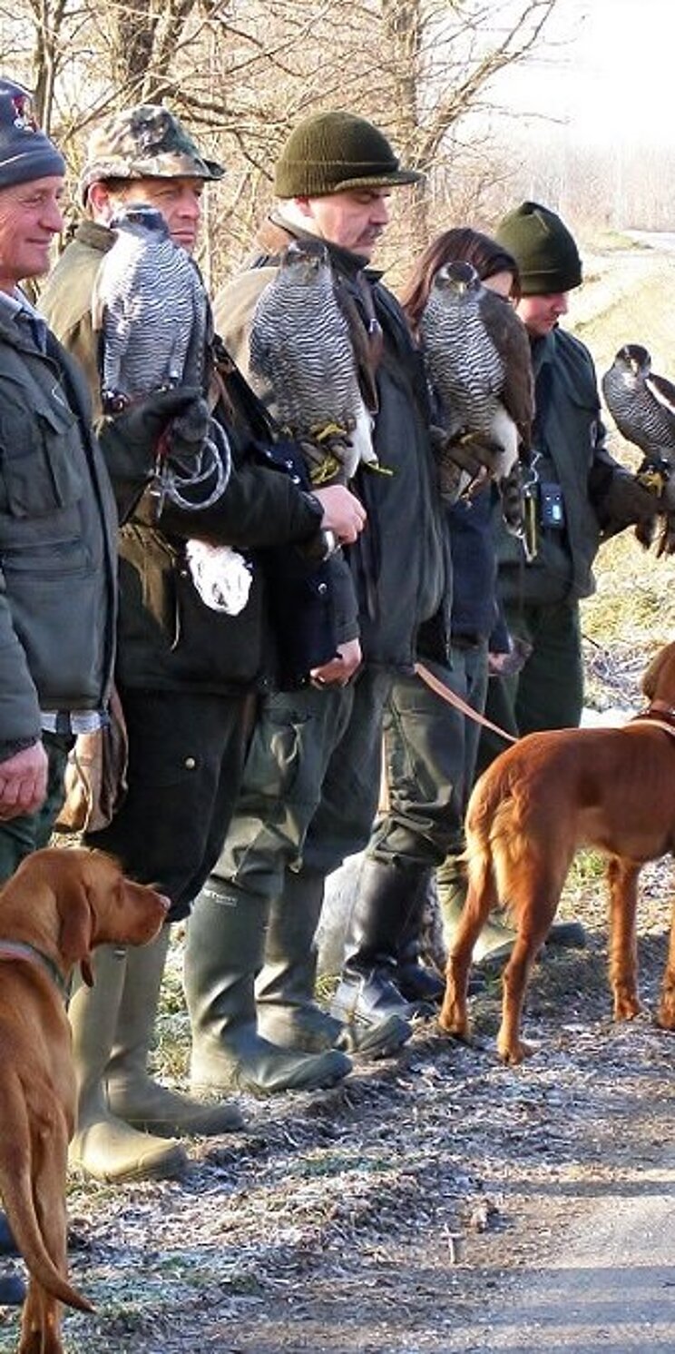 FALK3_c_Hungarian_Open_Air_Museum_UNESCO_web_06 Eine Reihe von Jägern mit Hunden