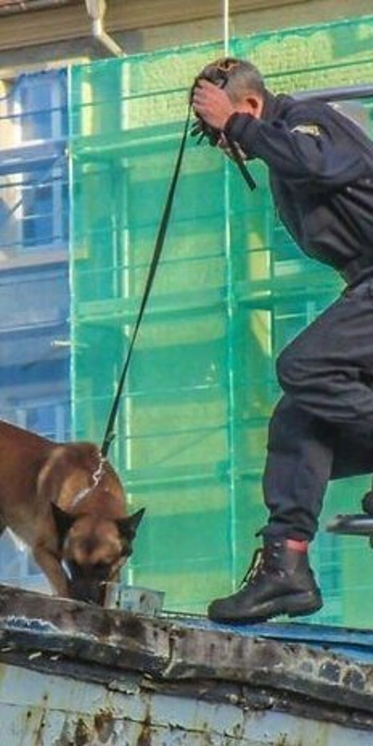 08_Gebrauchshundewesen_Diensthundearbeit_Brandmittelspürhund Mann steigt aus einer Hebebühne mit Hund an der Leine auf ein Dach. Dieser schnüffel nach Brandmitteln.