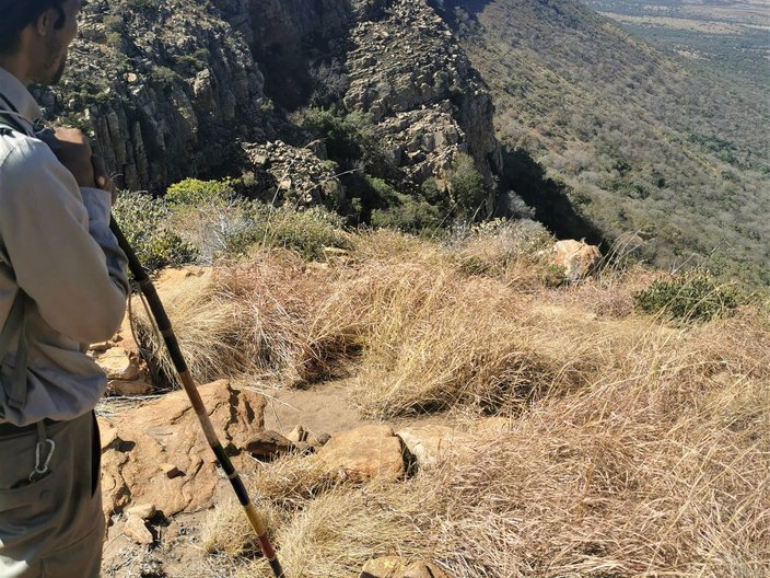 Person steht auf dem Magaliesberg und blickt ins Tal.