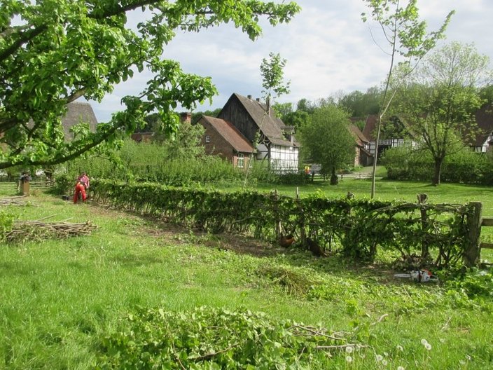Garten mit Flechthecke