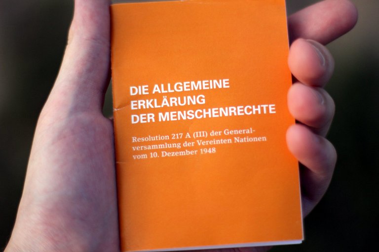 Die Allgemeine Erklärung der Menschenrechte in Form einer Broschüre.