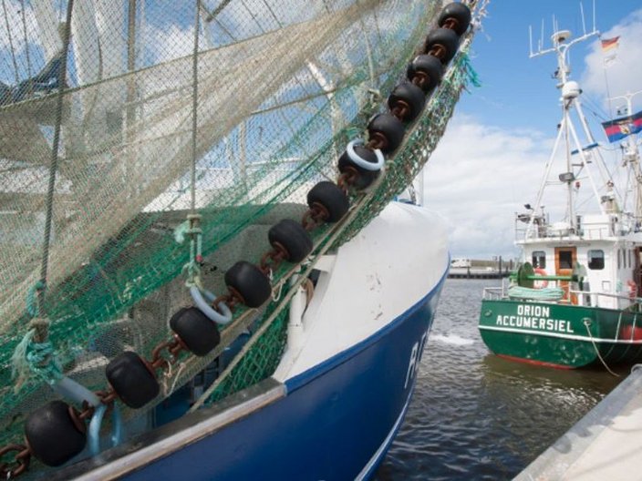 Bild mit mehreren Fischkuttern