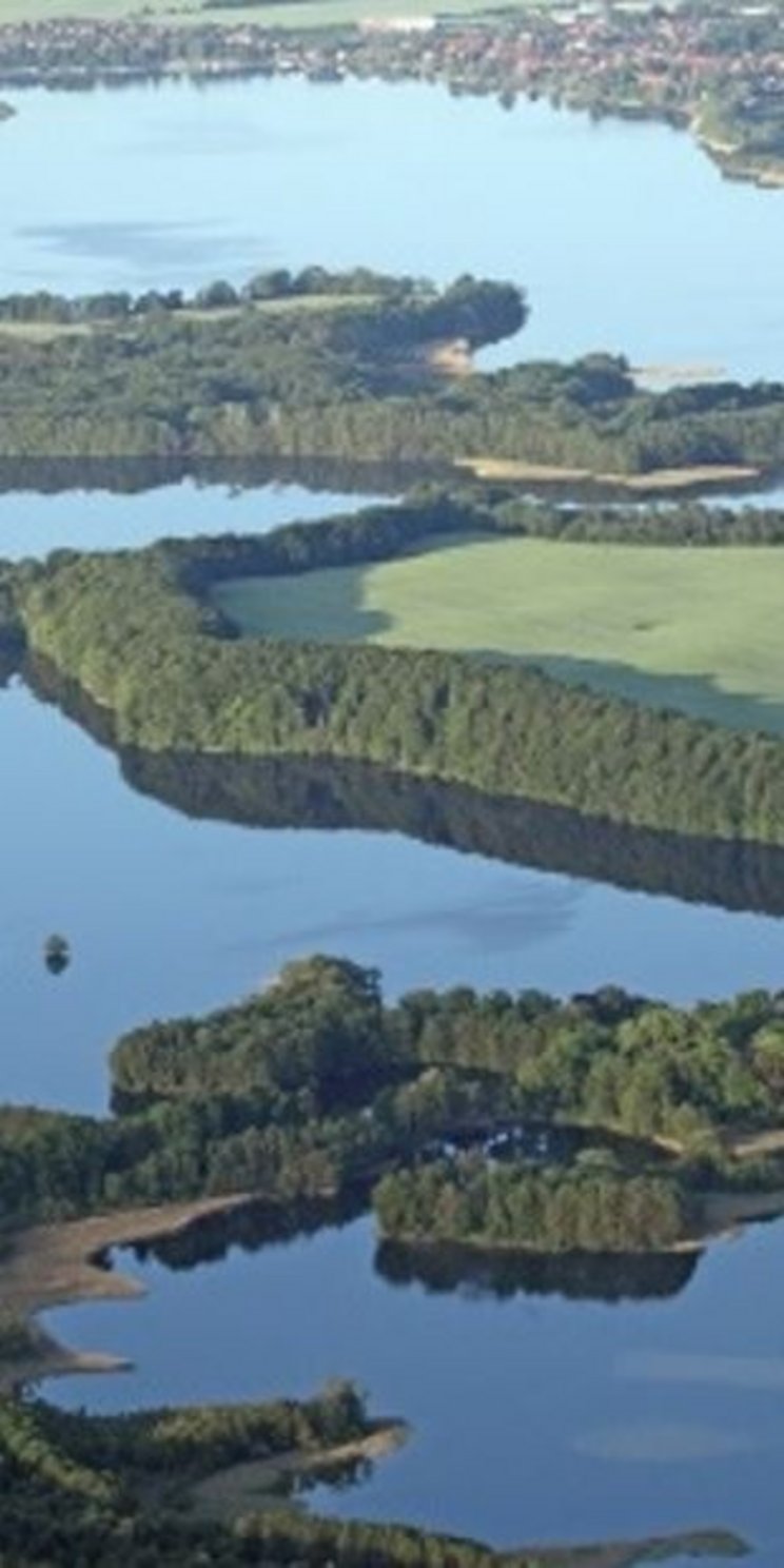Bewaldeter See aus der Vogelperspektive