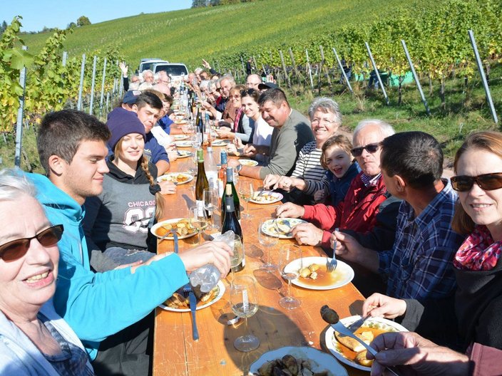 Gruppenbild in einem Weinberg