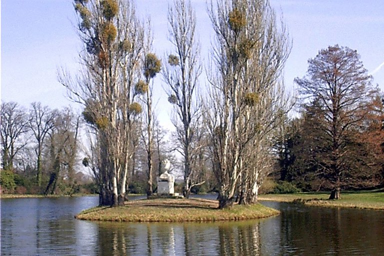 Gartenreich Dessau-Wörlitz Blick auf eine kleine Insel in einem See im Gartenreich Dessau-Wörlitz