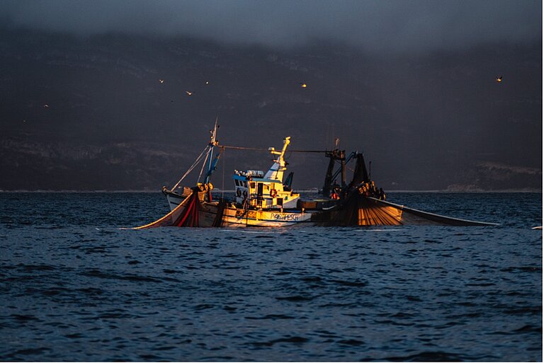 Ein Boot auf dem Meer vor der in Nebel gehüllten Küste