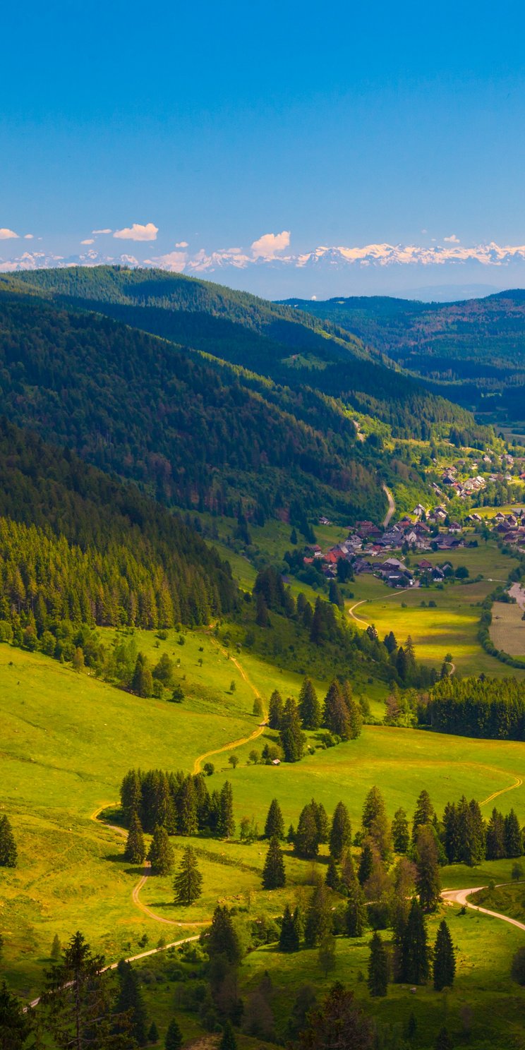 Schwarzwald Blick in das UNESCO-Biosphärenreservat Schwarzwald