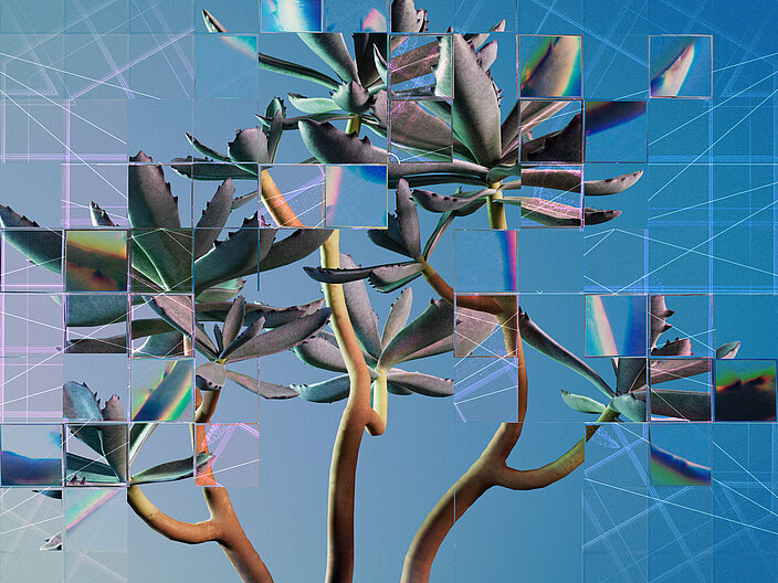 Fragmentierte Darstellung einer Sukkulente Eine fragmentierte Darstellung einer Sukkulente, die als visuelle Metapher für künstliche Intelligenz (KI) im Zusammenhang mit biologischen Daten steht.