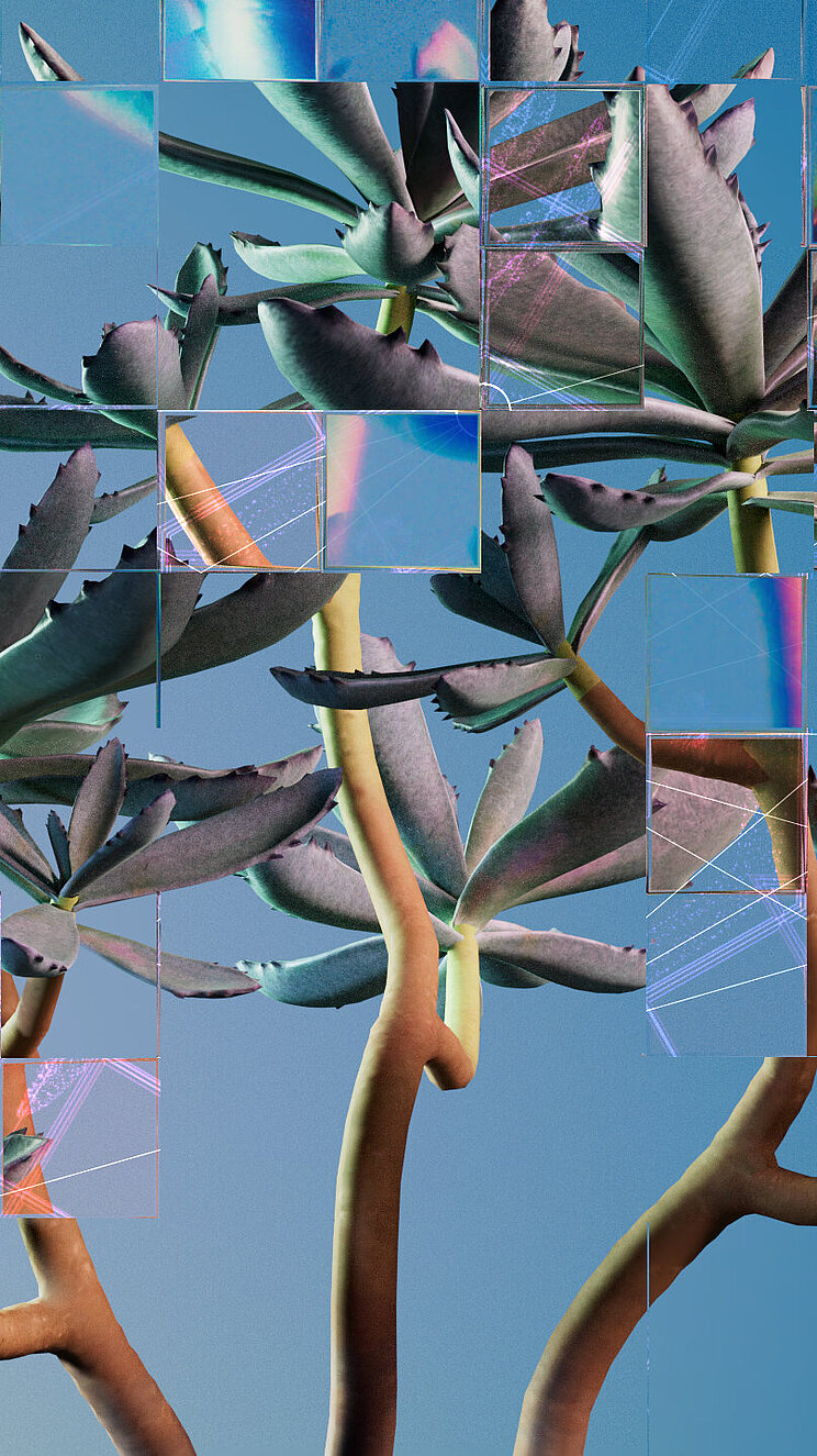Fragmentierte Darstellung einer Sukkulente Eine fragmentierte Darstellung einer Sukkulente, die als visuelle Metapher für künstliche Intelligenz (KI) im Zusammenhang mit biologischen Daten steht.