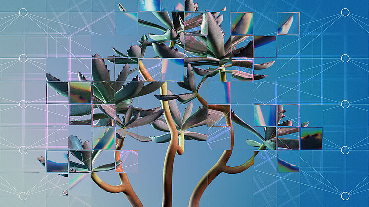 Fragmentierte Darstellung einer Sukkulente Eine fragmentierte Darstellung einer Sukkulente, die als visuelle Metapher für künstliche Intelligenz (KI) im Zusammenhang mit biologischen Daten steht.