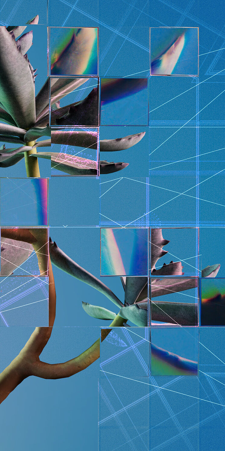 Fragmentierte Darstellung einer Sukkulente Eine fragmentierte Darstellung einer Sukkulente, die als visuelle Metapher für künstliche Intelligenz (KI) im Zusammenhang mit biologischen Daten steht.