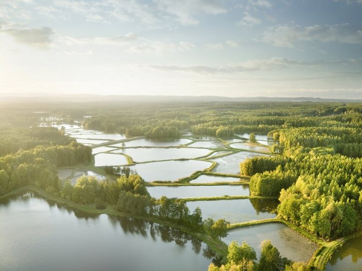 Landschaft mit Fischteichen