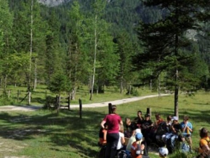 Das Bild zeigt eine Gruppe von Kindern, die durch eine Gebirgslandschaft wandert. 