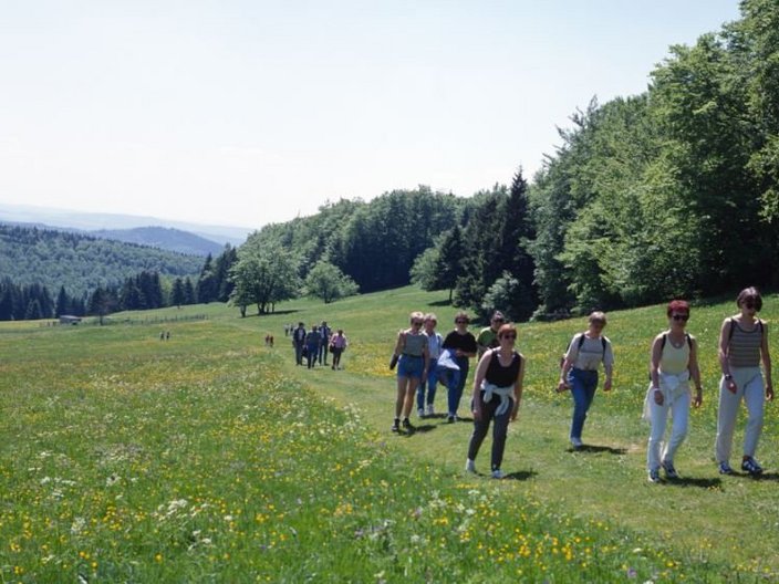 Wanderergruppe in einer Wald- und Wiesenlandschaft