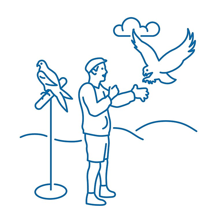 Icon_Falknerei Grafik einer Person beim Training mit zwei Falken.