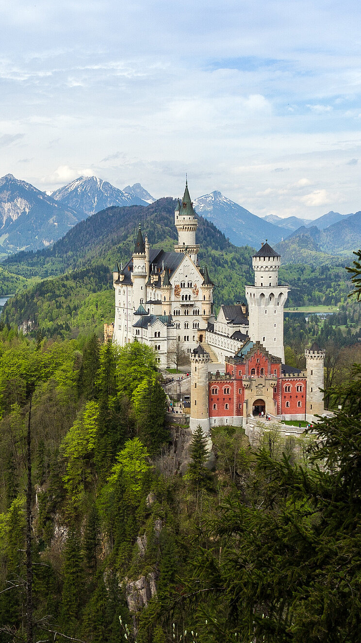 Neuschwanstein: Ein Schloss im Wald vor Hochgebirgspanorama