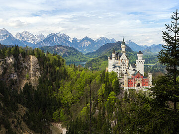 Schloss Neuschwanstein Neuschwanstein: Ein Schloss im Wald vor Hochgebirgspanorama
